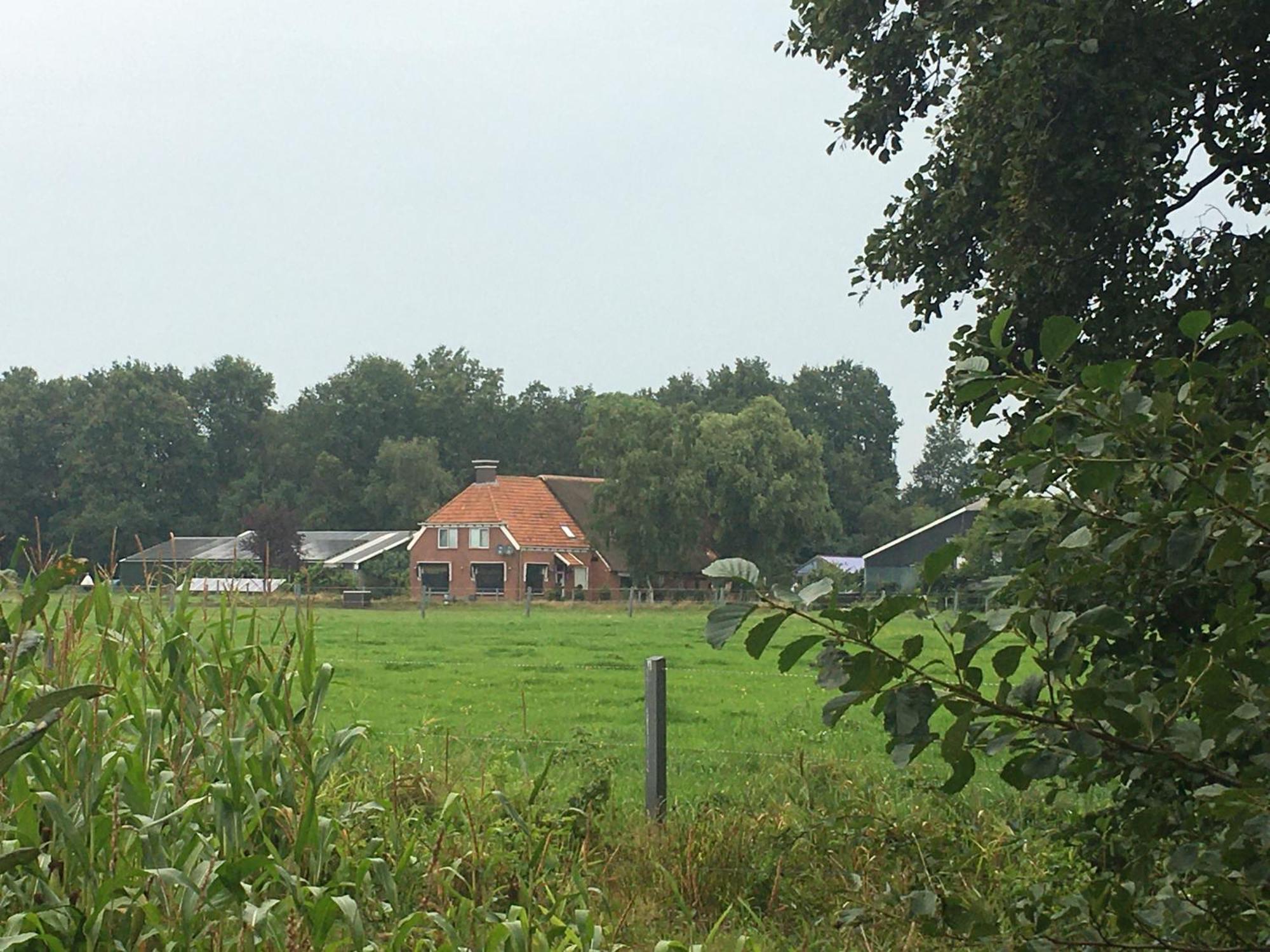 The Black Horse B&B & More Drachten Exterior foto